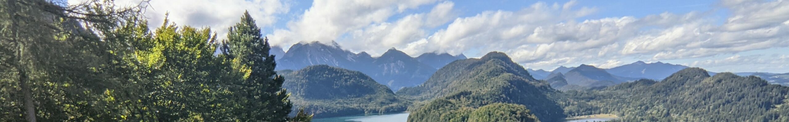 Gertrude Allein zu Haus